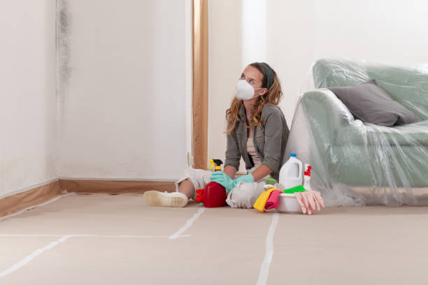 Reliable Mold Testing contractor in Royal Oak, MD by WQB Mold Removal
